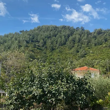 Hotel Blue Bay Koinira