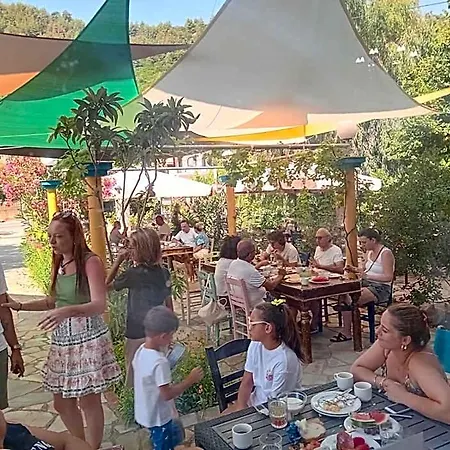 蓝湾海滩酒店 酒店 基尼拉